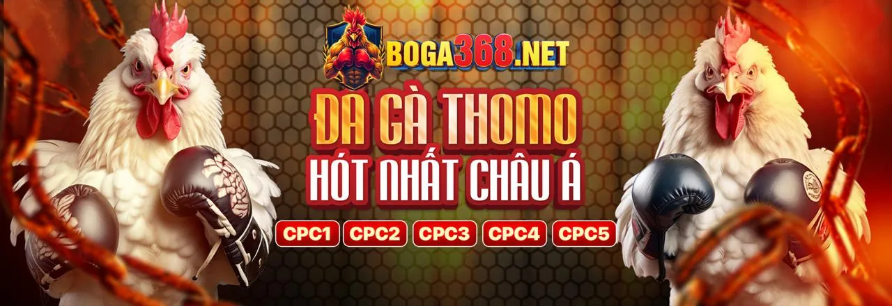 quang88 đăng nhập ra mắt tính năng mới